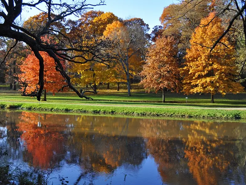 fall park scene