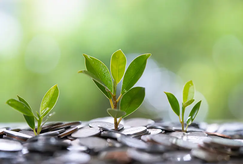 plants and change
